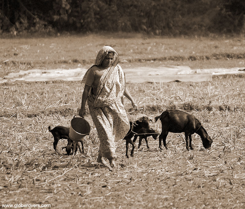 A day in the life of Bangladesh