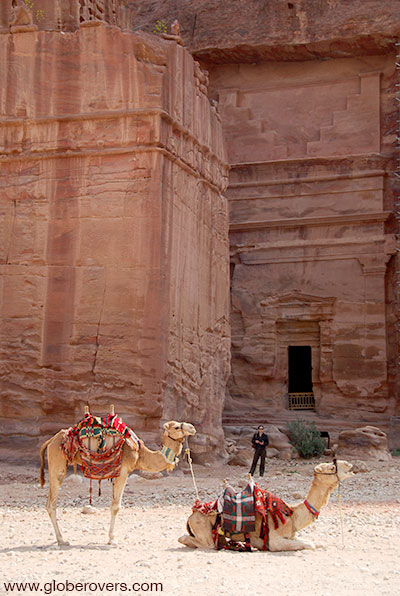 Camels around the Street of Facades, Petra, Jordan