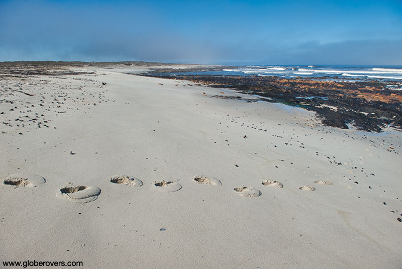 Endless unspoilt beaches around Lamberts Bay, South Africa
