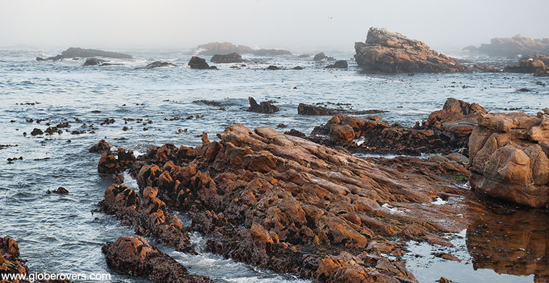 Rugged coastline around Lamberts Bay, South Africa