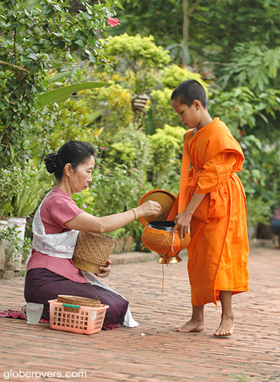 Monks receiving early morning alms, Luang Prabang, Laos