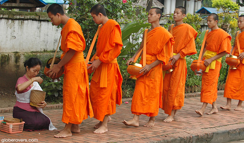 Monks receiving early morning alms, Luang Prabang, Laos