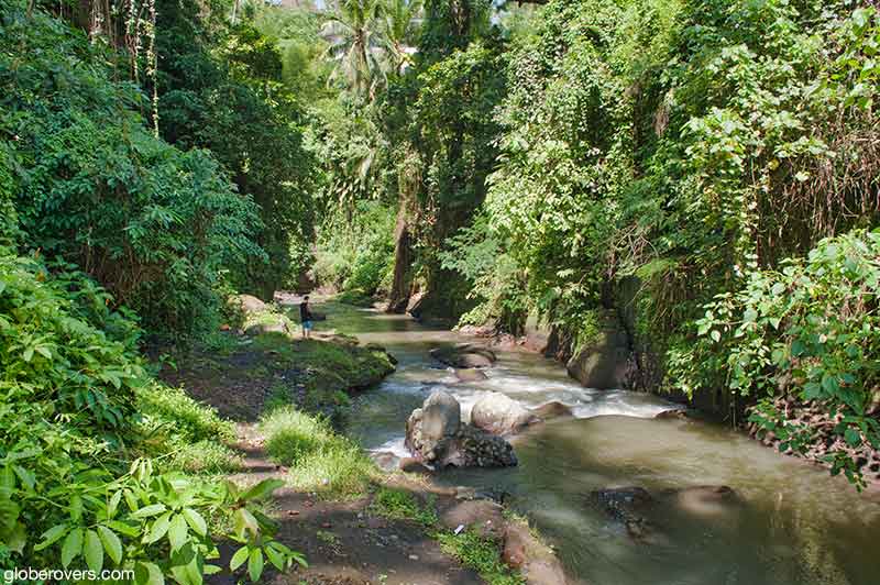 Campuhan Ridge outside Ubud is one of the many hiking routes on Bali