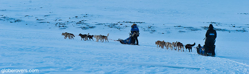 Dog sledding on the Svalbard Islands, Norway