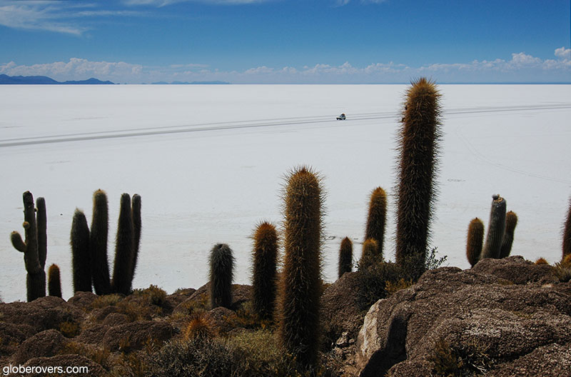 Isla de Pescado (Fish Island), Salar de Uyuni, Bolivia