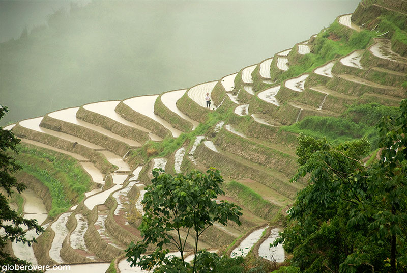 Longsheng rice terraces, Guangxi, China
