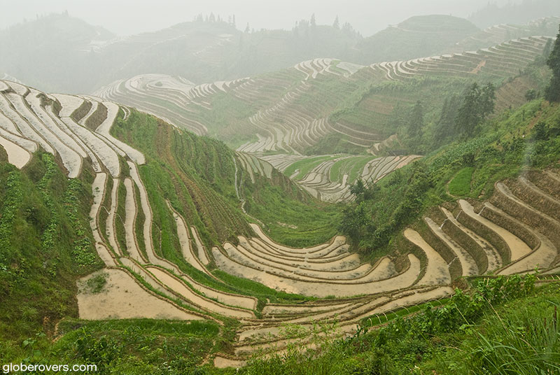 Longsheng rice terraces, Guangxi, China