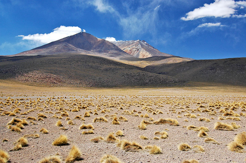 Salar de Chiguana, Southern Bolivia