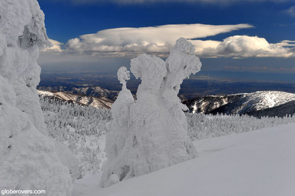 Juhyou frosted fir trees. Zao Onsen, Yamagata, Japan