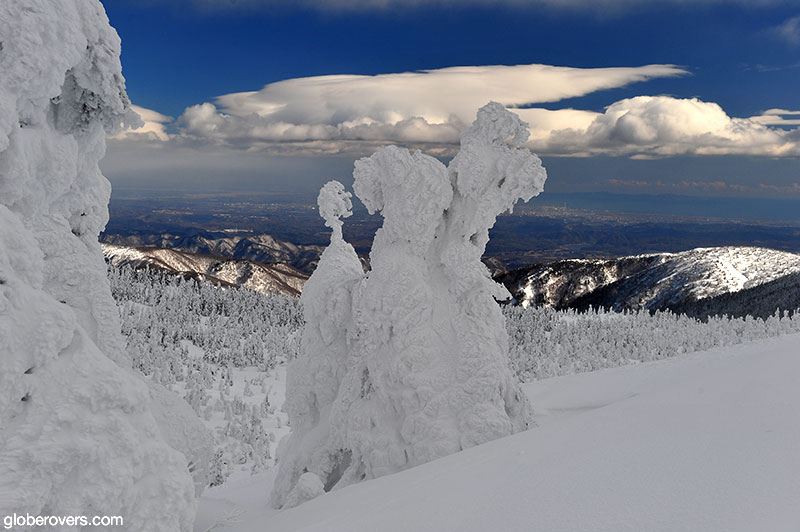 Juhyou frosted fir trees. Zao Onsen, Yamagata, Japan