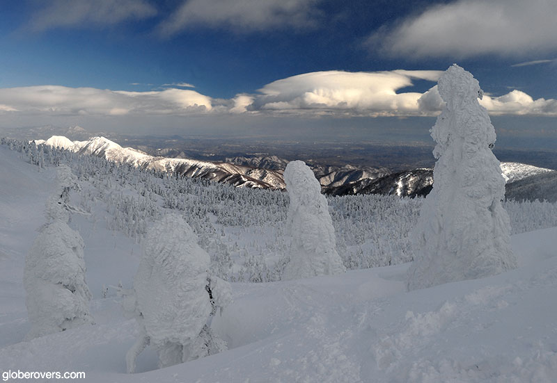 Juhyou frosted fir trees. Zao Onsen, Yamagata, Japan