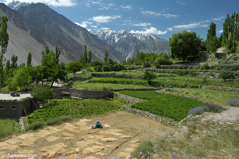 Scenery around Gulmit Village in the Upper Hunza Valley