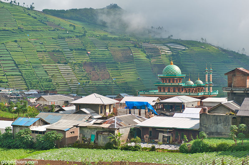 Terraces at Dieng Plateau, Central Java, Indonesia
