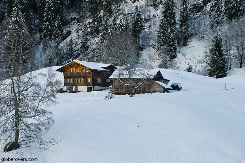 Between Kleine Scheidegg (el. 2061 m.) and Grindelwald, Train trip from Interlaken to Jungfraujoch, Switzerland