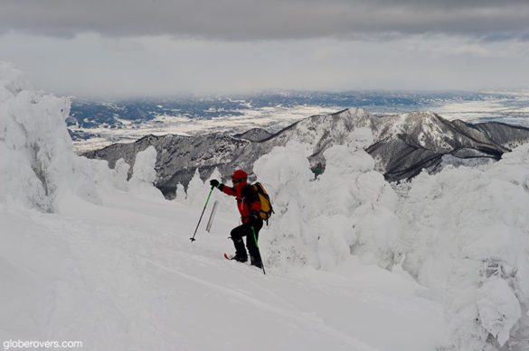 Skiing around the Juhyou frosted fir trees. Zao Onsen, Yamagata, Japan