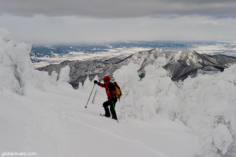 Skiing around the Juhyou frosted fir trees. Zao Onsen, Yamagata, Japan