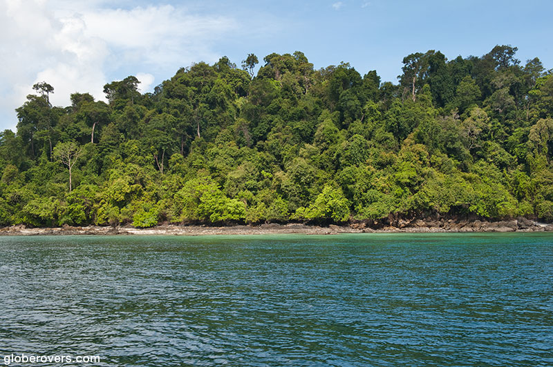 Thick rugged jungle on Lampi Island