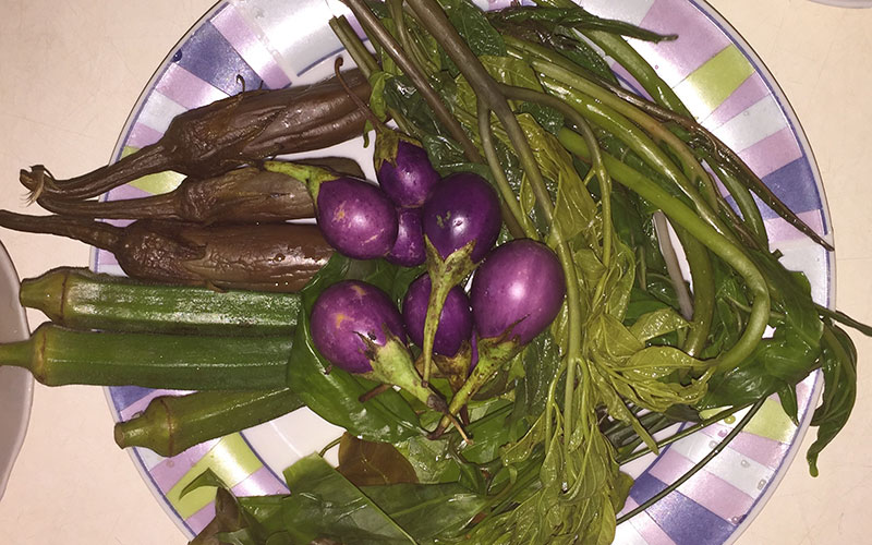 Mixed vegetable salad