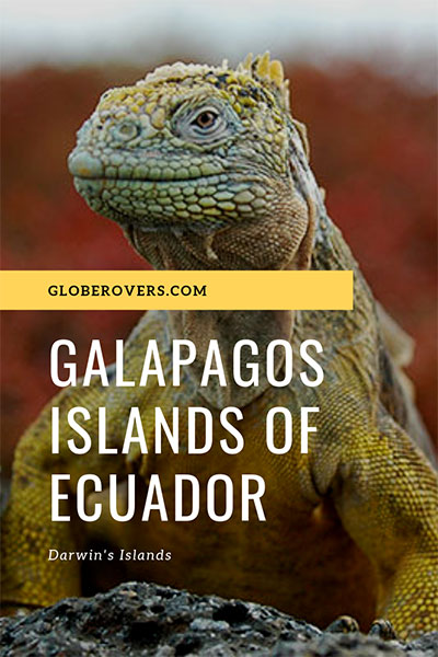 Pinterest - Galapagos Islands