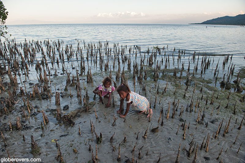 Kids digging for shellfish  in the muddy beach, Woman collecting seaweed, Atauro Island, Timor-Leste