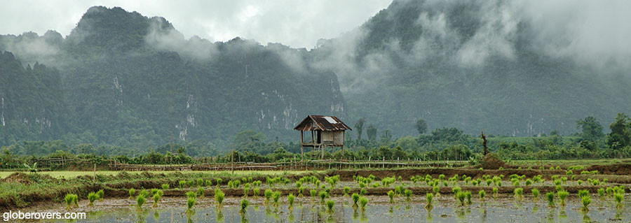 Rice paddy workers outside Vang Viang, Laos