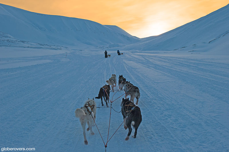 Dog sledding on a large glacier, Svalbard Islands, Norway.