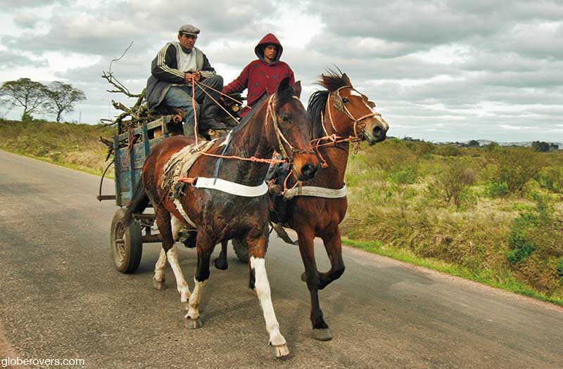 Uruguay Horse Cart