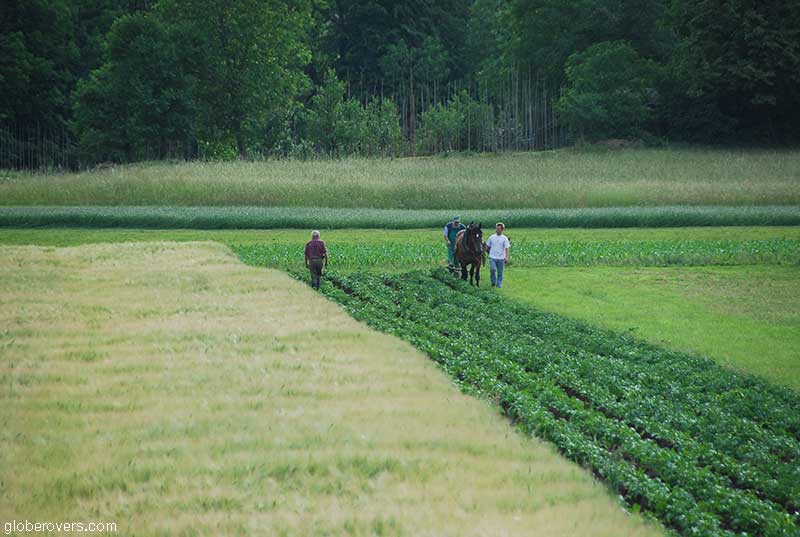 Farm near Lake Bled, Bled, Slovenia
