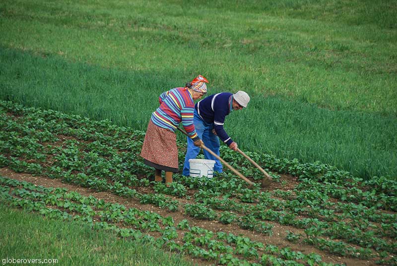 Farm near Lake Bled, Bled, Slovenia