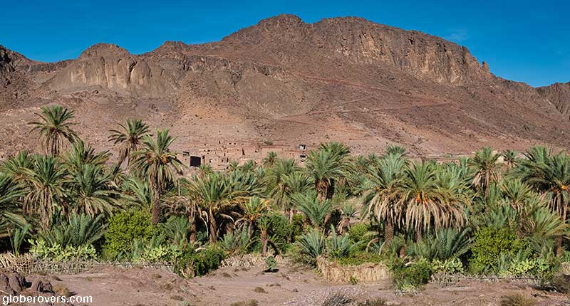 Oasis Fint south of Ouarzazate, Morocco