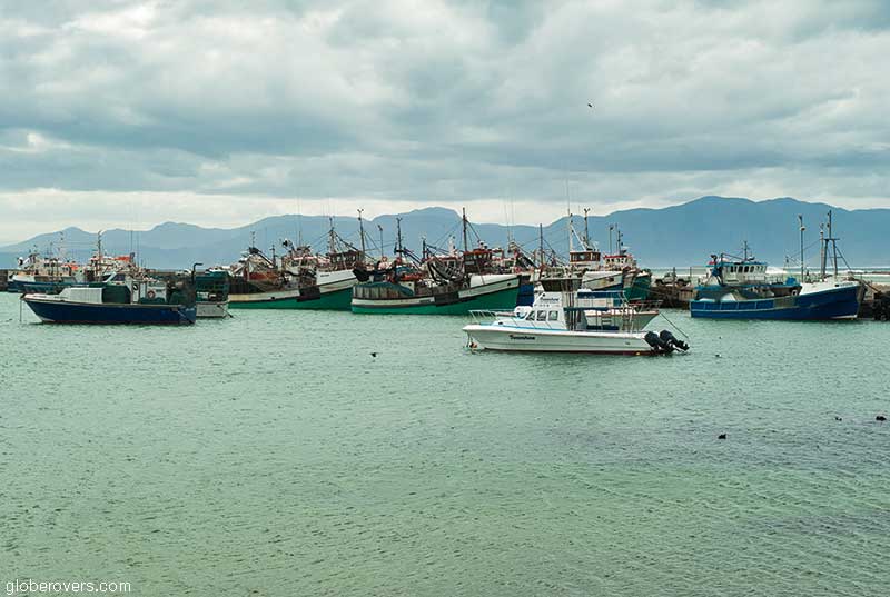 Harbour, Gansbaai, West Cape, South Africa