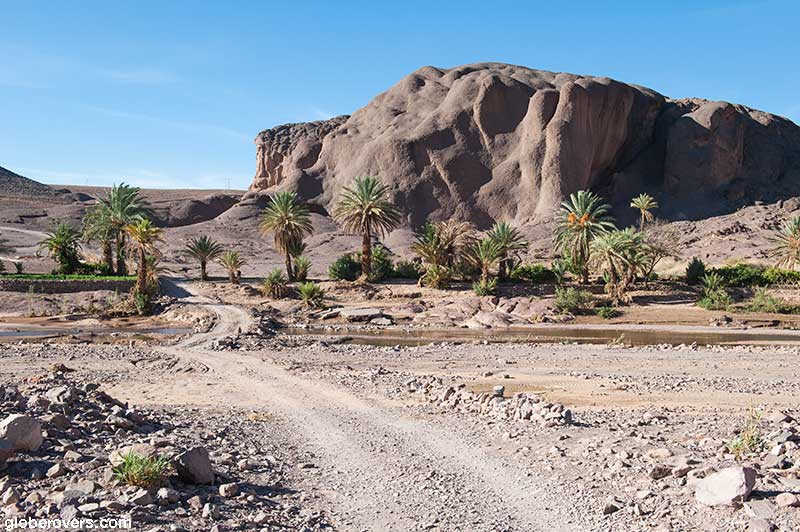 Oasis Fint south of Ouarzazate, Morocco