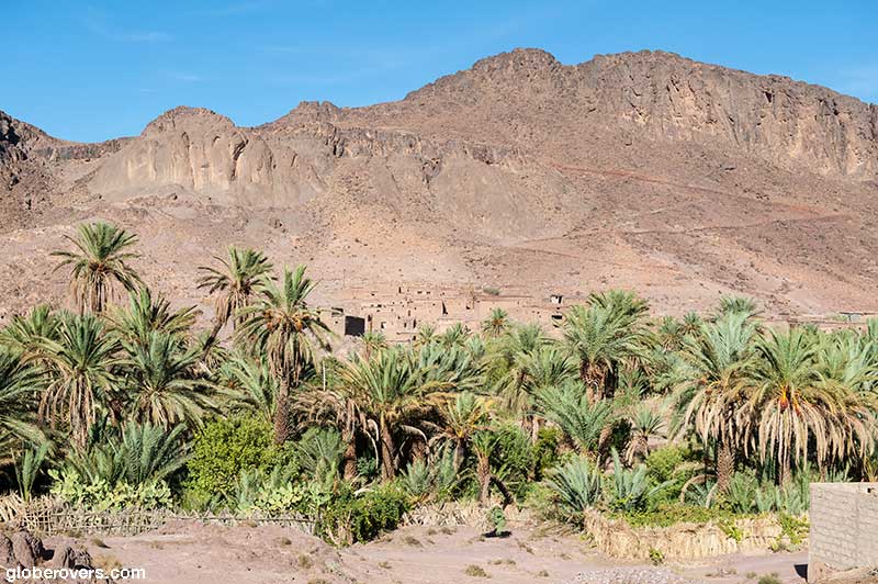 Oasis Fint south of Ouarzazate, Morocco