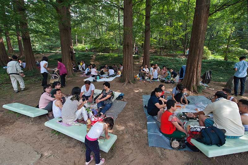 Picnic in a park, Pyongyang, North Korea, DPRK