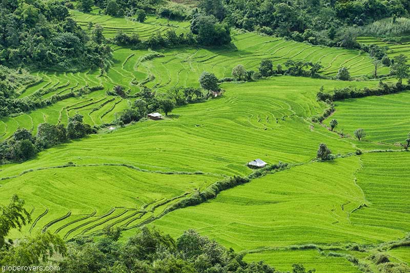 Rice terraces south of Kengtung, Shan State, Myanmar