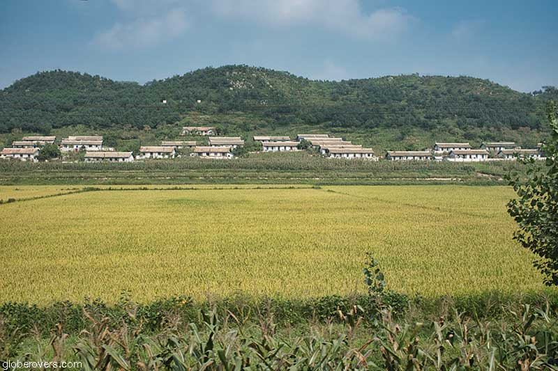 Rice fields in rural North Korea