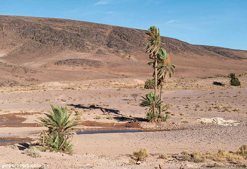 Road to Oasis Fint south of Ouarzazate, Morocco