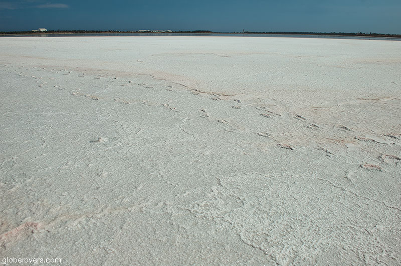 Larnaca Salt Lake, Larnaca, Republic of Cyprus
