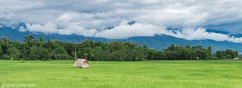 Rice fields west of Keng Tung, Shan State, Myanmar