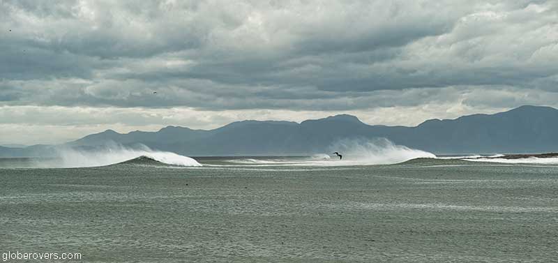 Waves near Gansbaai, West Cape, South Africa