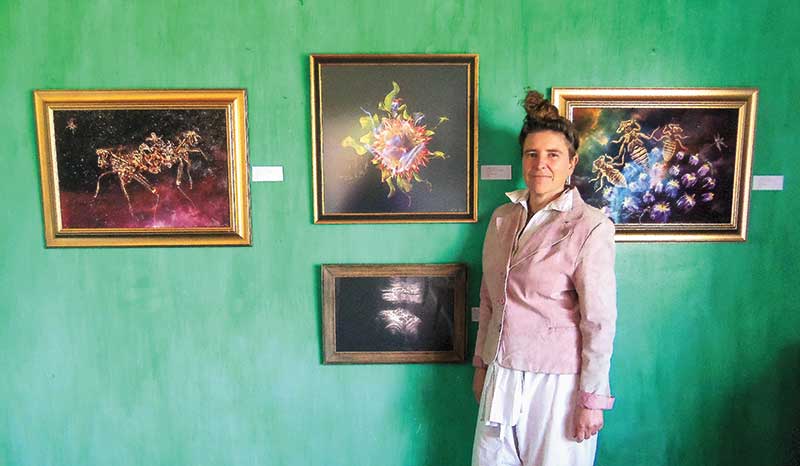 Art-baardskeerdersbos-south-africa