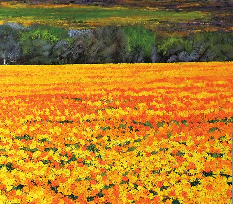 Art-baardskeerdersbos-south-africa