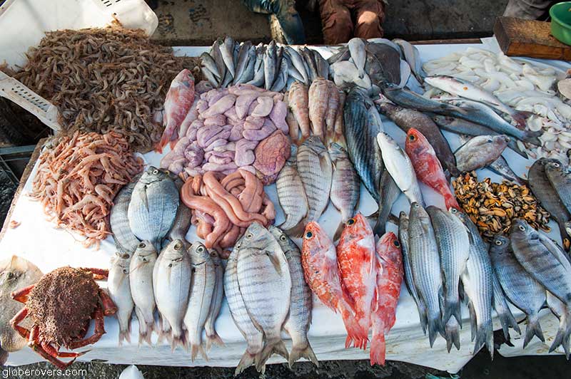 Fish at the harbour of Essaouira, Morocco