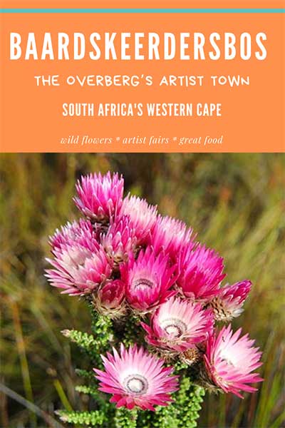 PINTEREST-Baardskeerdersbos-1