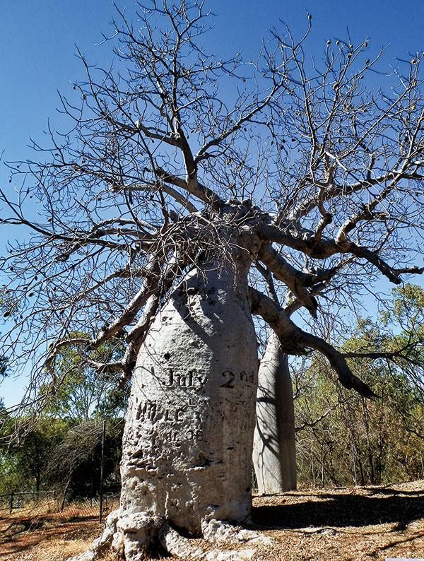 Australia-Pontoon-Loo
