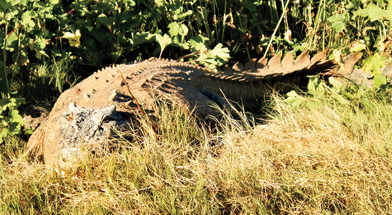 Australia-Victoria-River-Escarpment