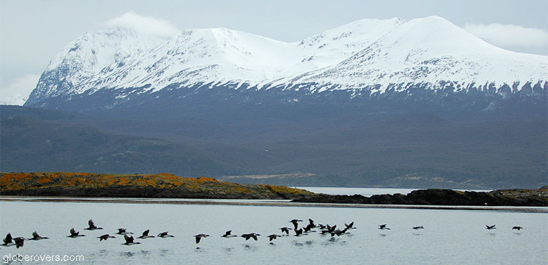 Beagle Channel, Ushuaia, Argentina