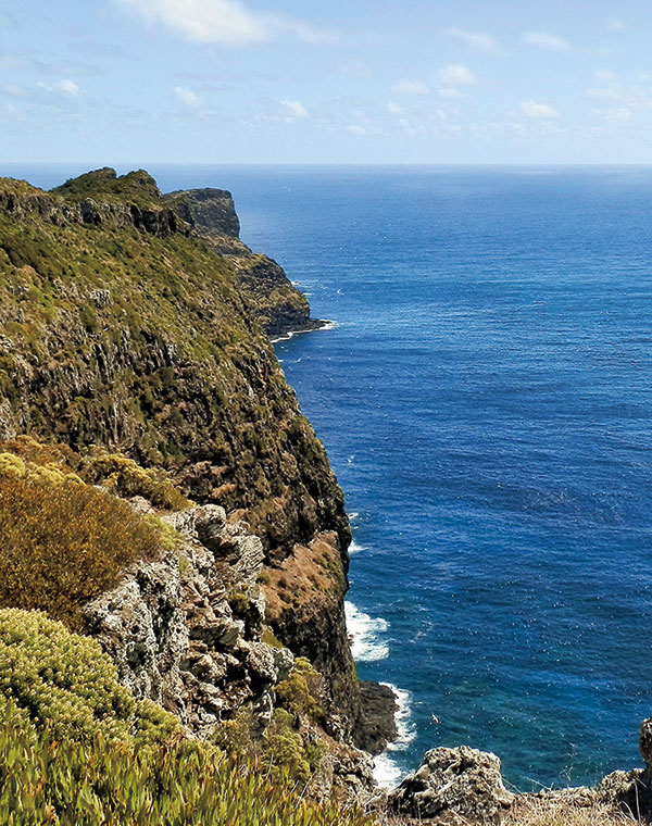 Cliff Top Walk, Malabar Hill to  Kims Lookout, Lord Howe Island.
