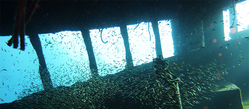 Mauritius shipwrecks