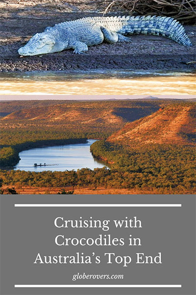 PINTEREST-Australia-Crocodiles
